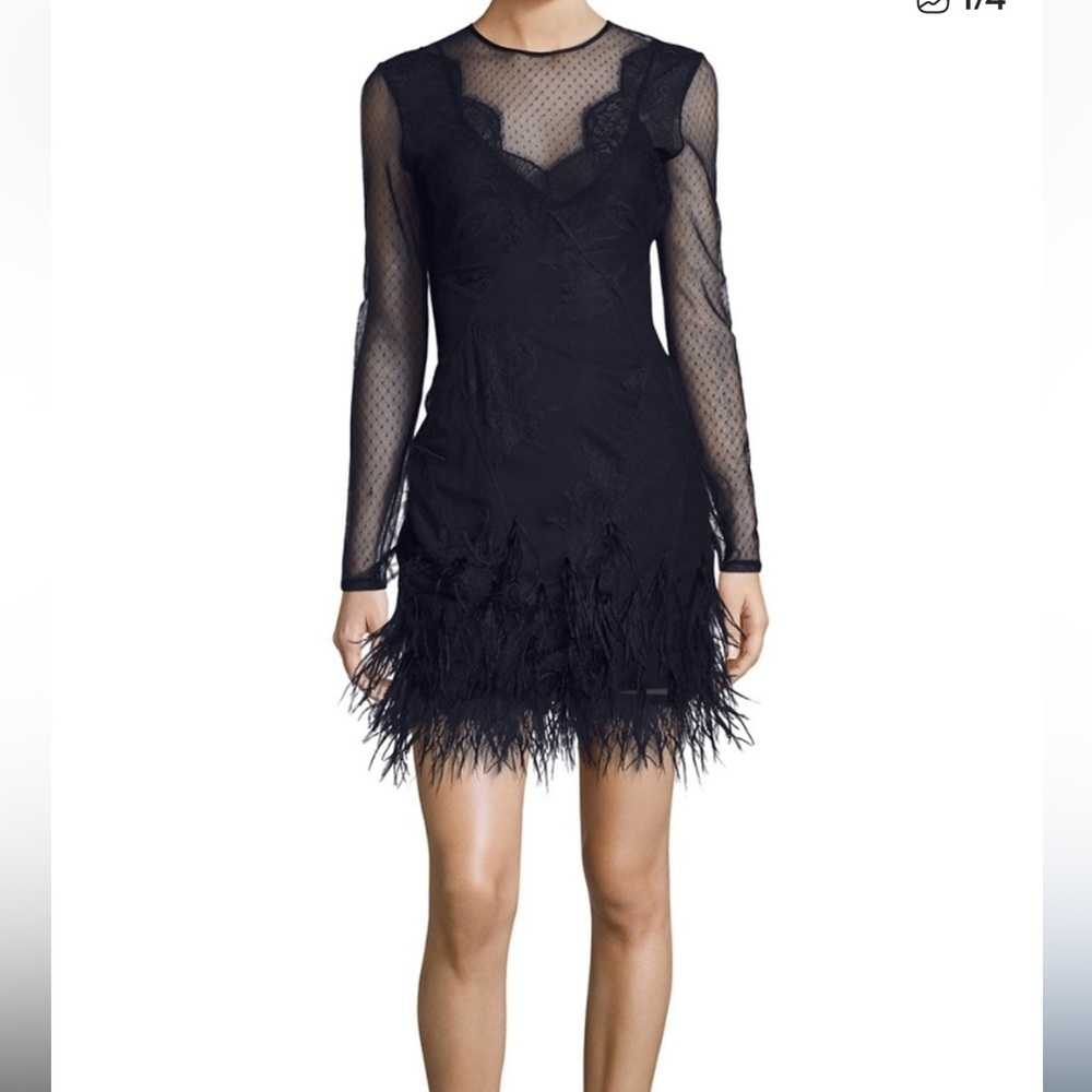 Cinq A Sept Amabella Embroidered Cocktail Dress Ditsy Mesh Feathered Hem size 4